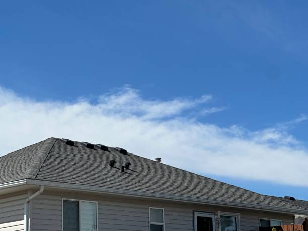 Best Tile Roofing Installation  in Independence, WI